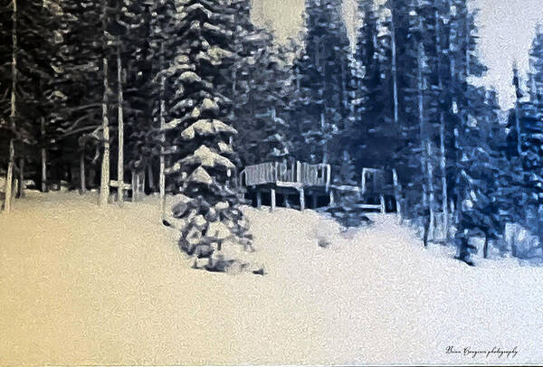 Winter - Art Print