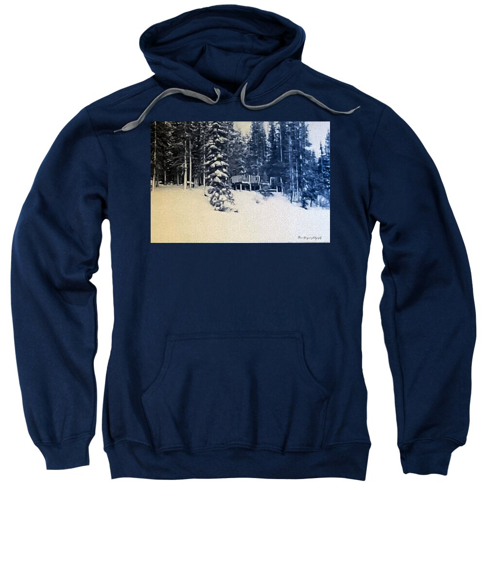 Winter - Sweatshirt