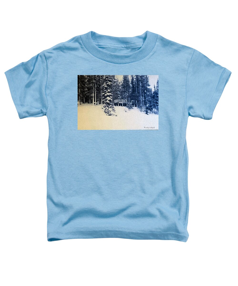 Winter - Toddler T-Shirt