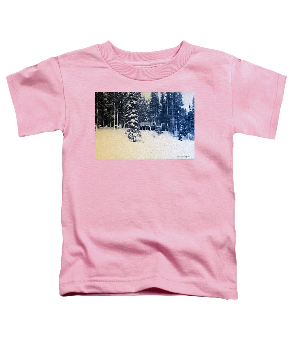 Winter - Toddler T-Shirt