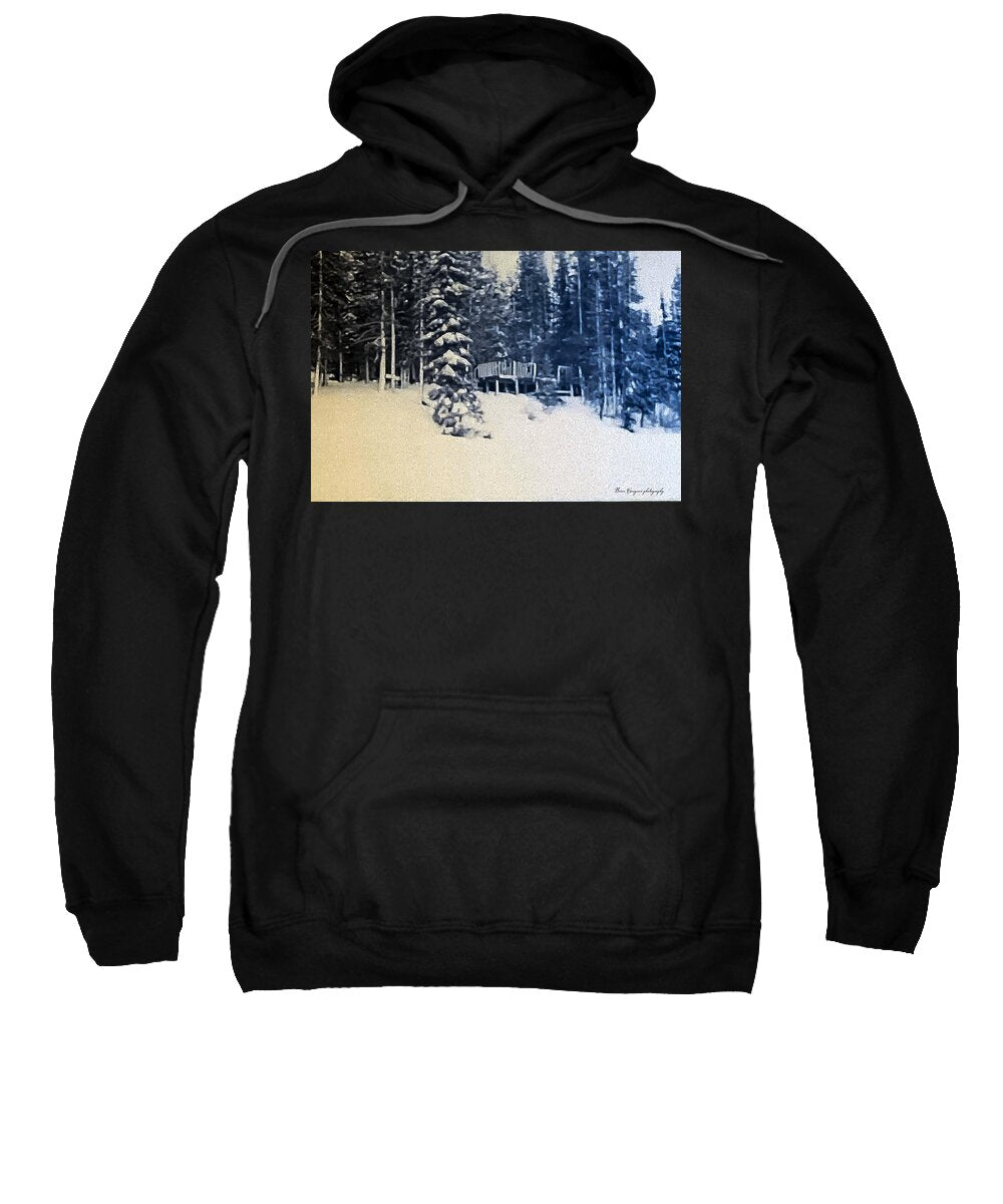 Winter - Sweatshirt