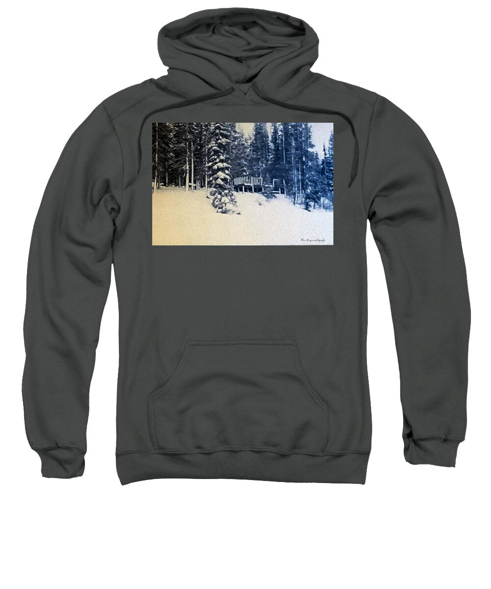 Winter - Sweatshirt