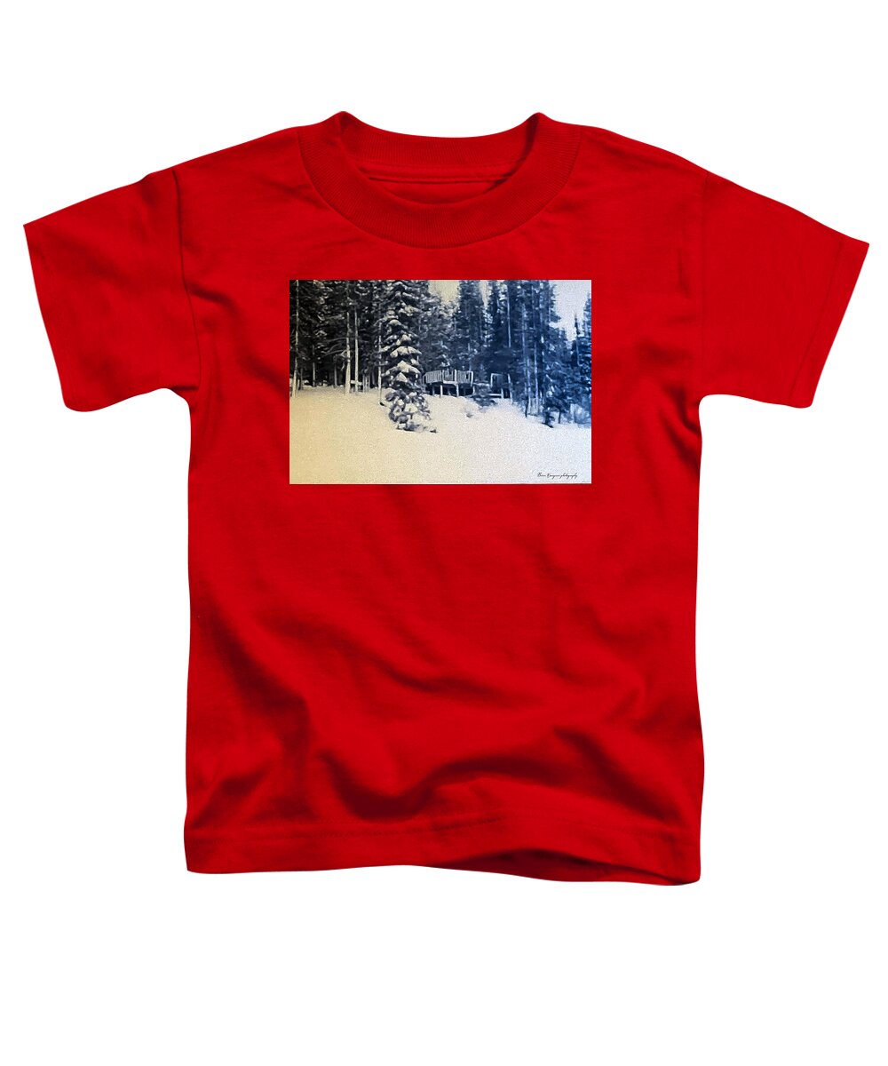 Winter - Toddler T-Shirt