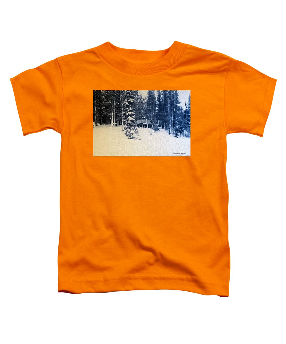 Winter - Toddler T-Shirt