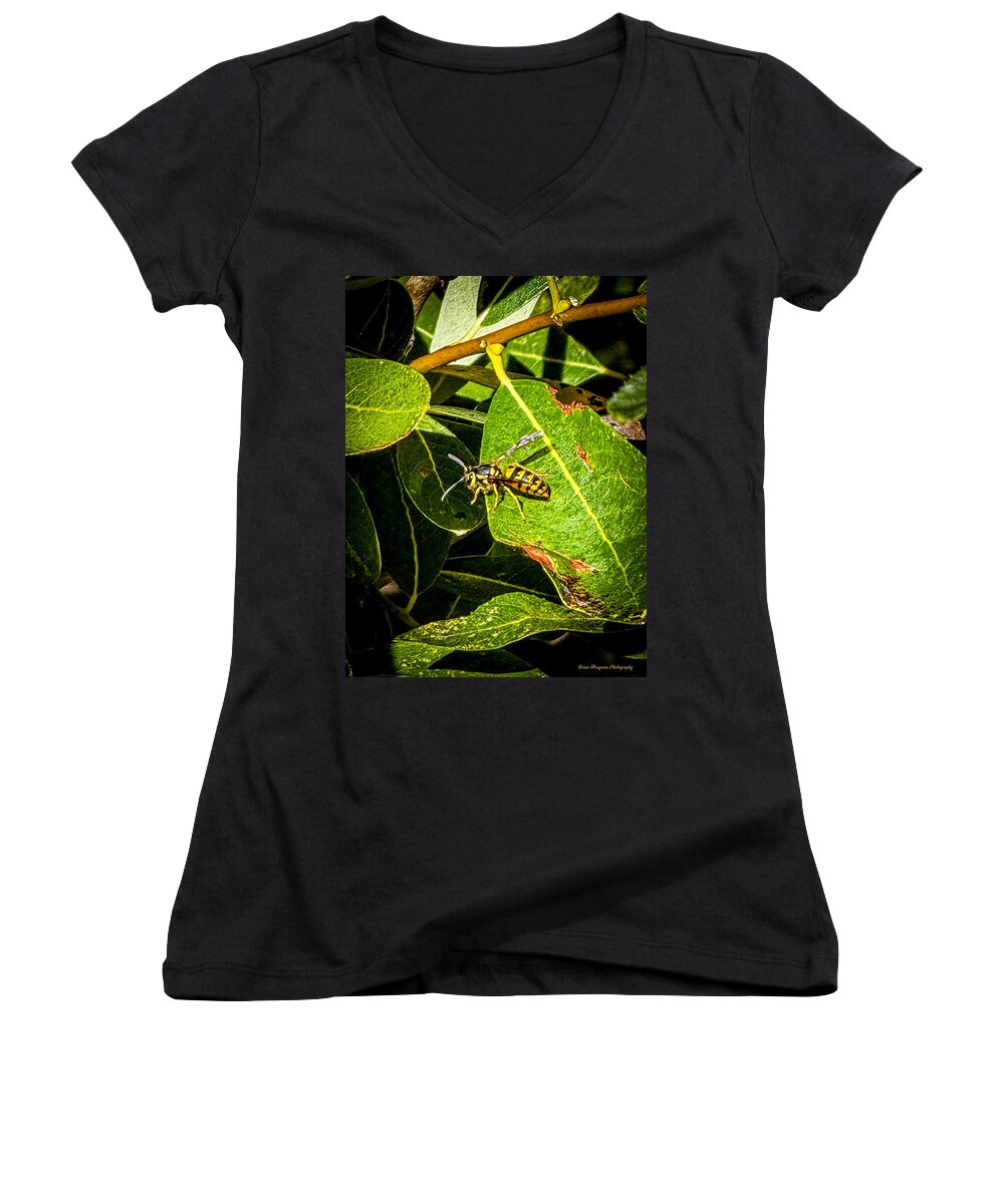 Yellow jacket - Women's V-Neck