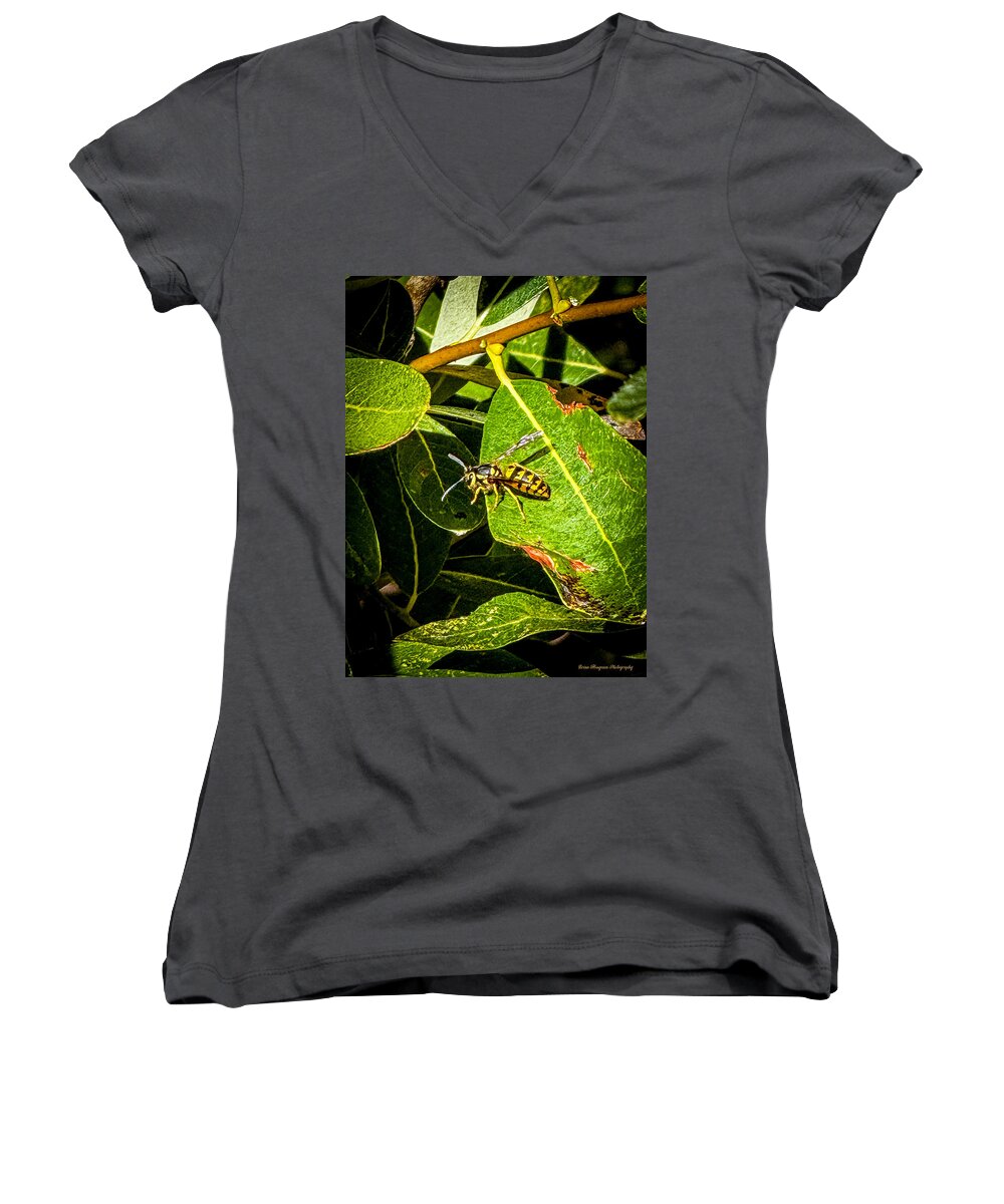 Yellow jacket - Women's V-Neck