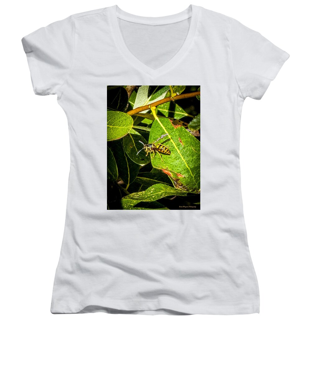 Yellow jacket - Women's V-Neck