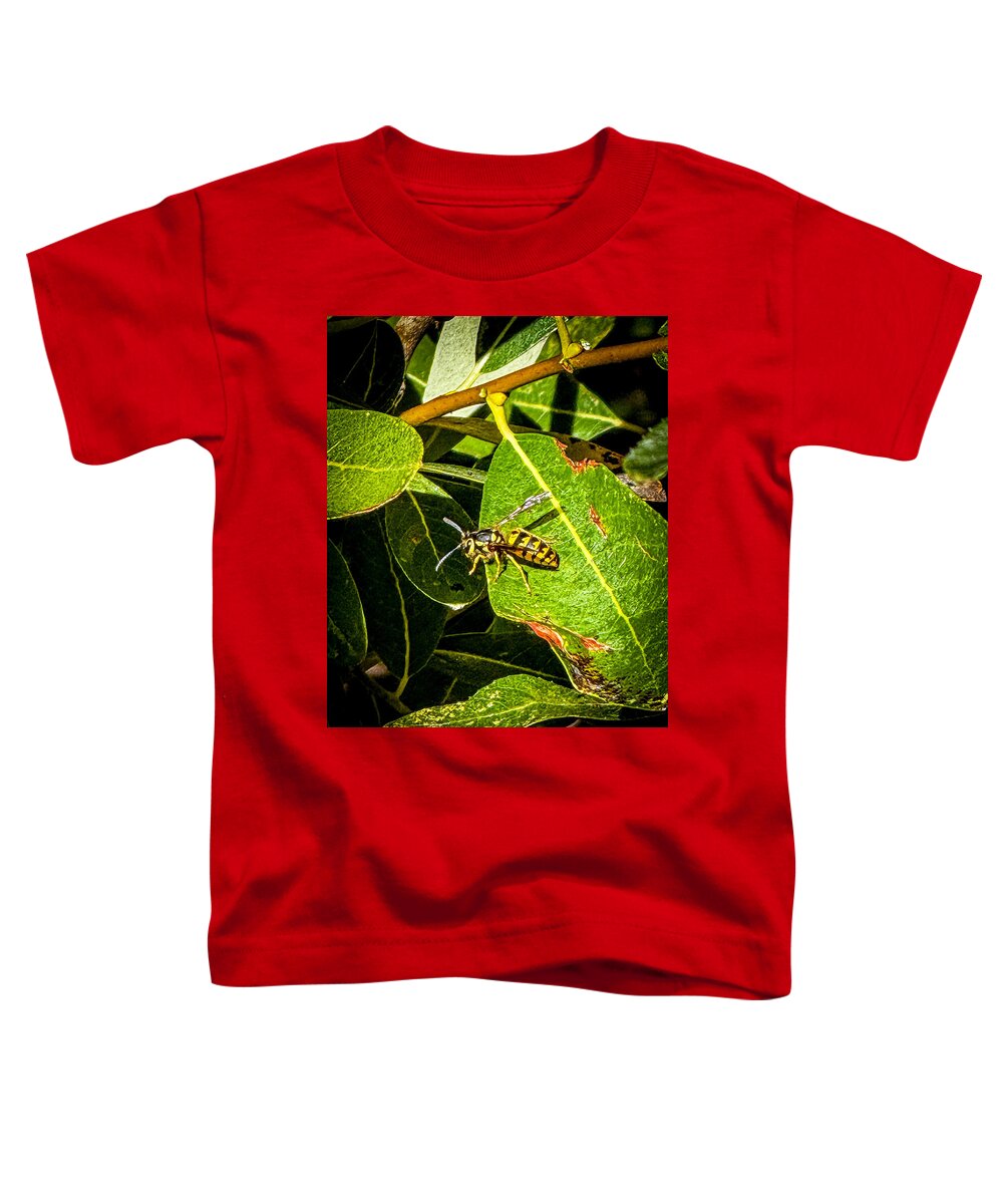 Yellow jacket - Toddler T-Shirt