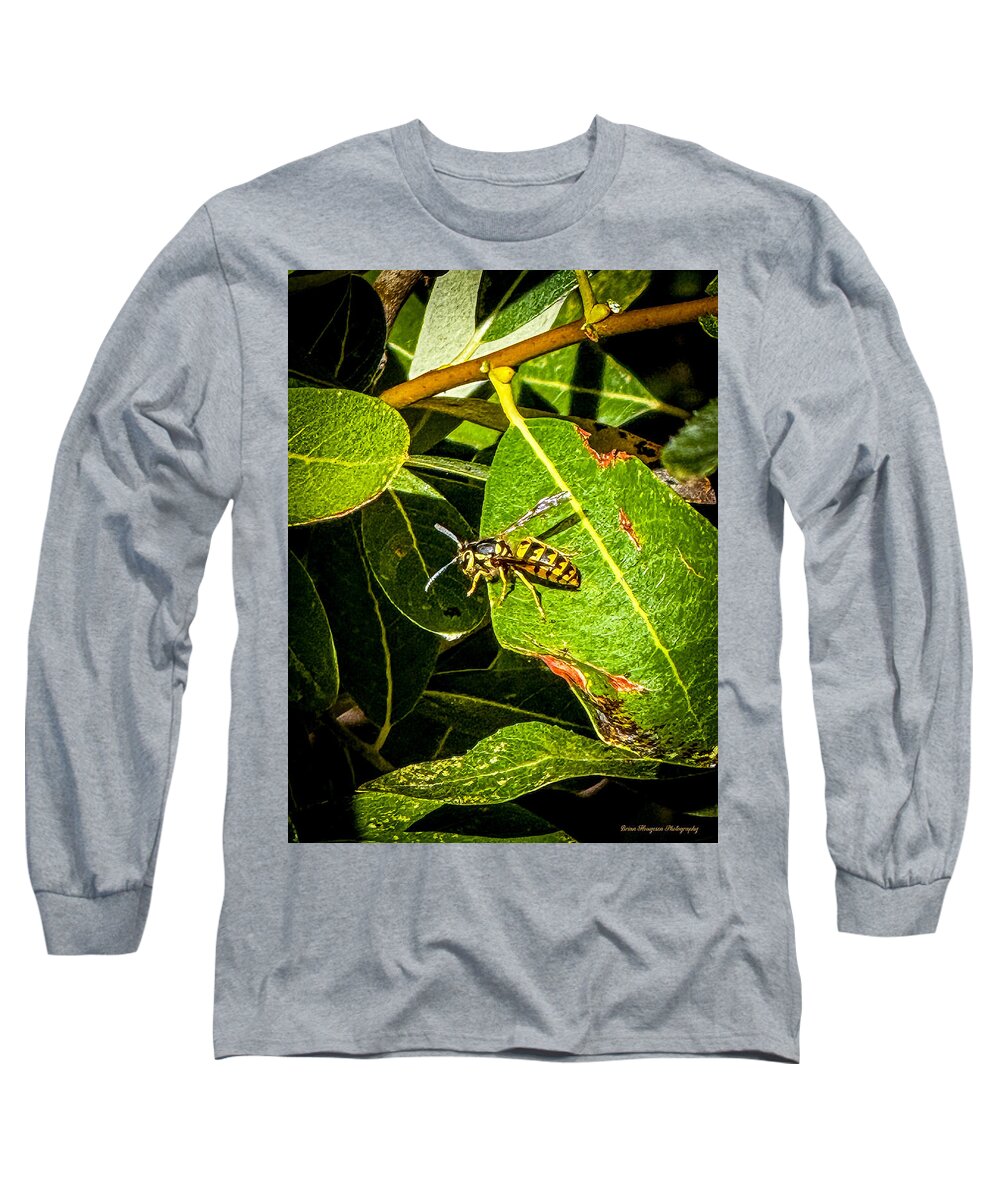 Yellow jacket - Long Sleeve T-Shirt