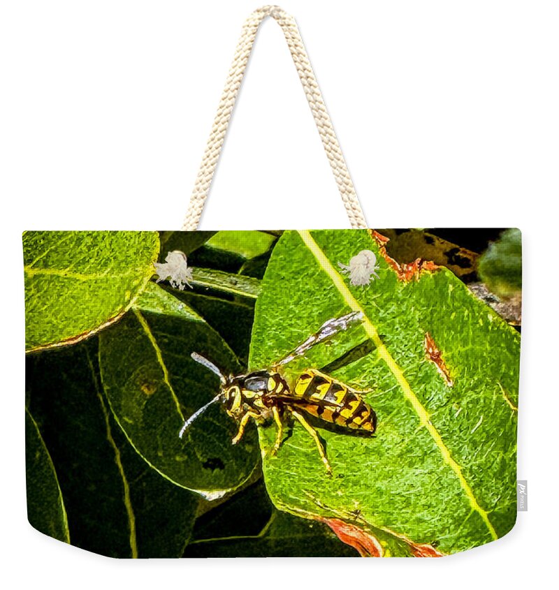 Yellow jacket - Weekender Tote Bag