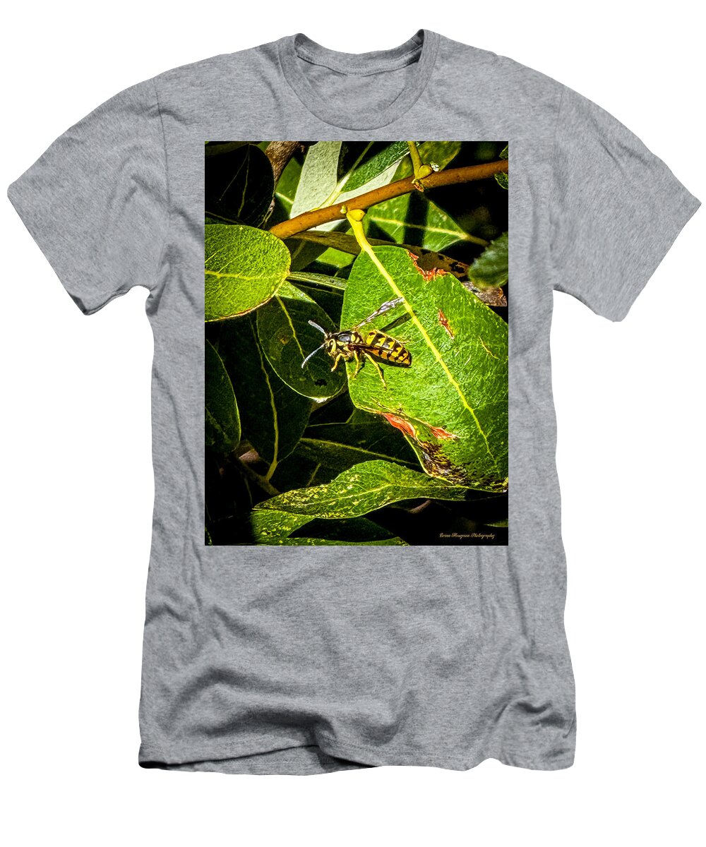 Yellow jacket - T-Shirt