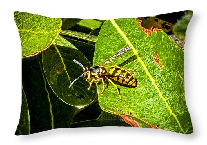 Yellow jacket - Throw Pillow