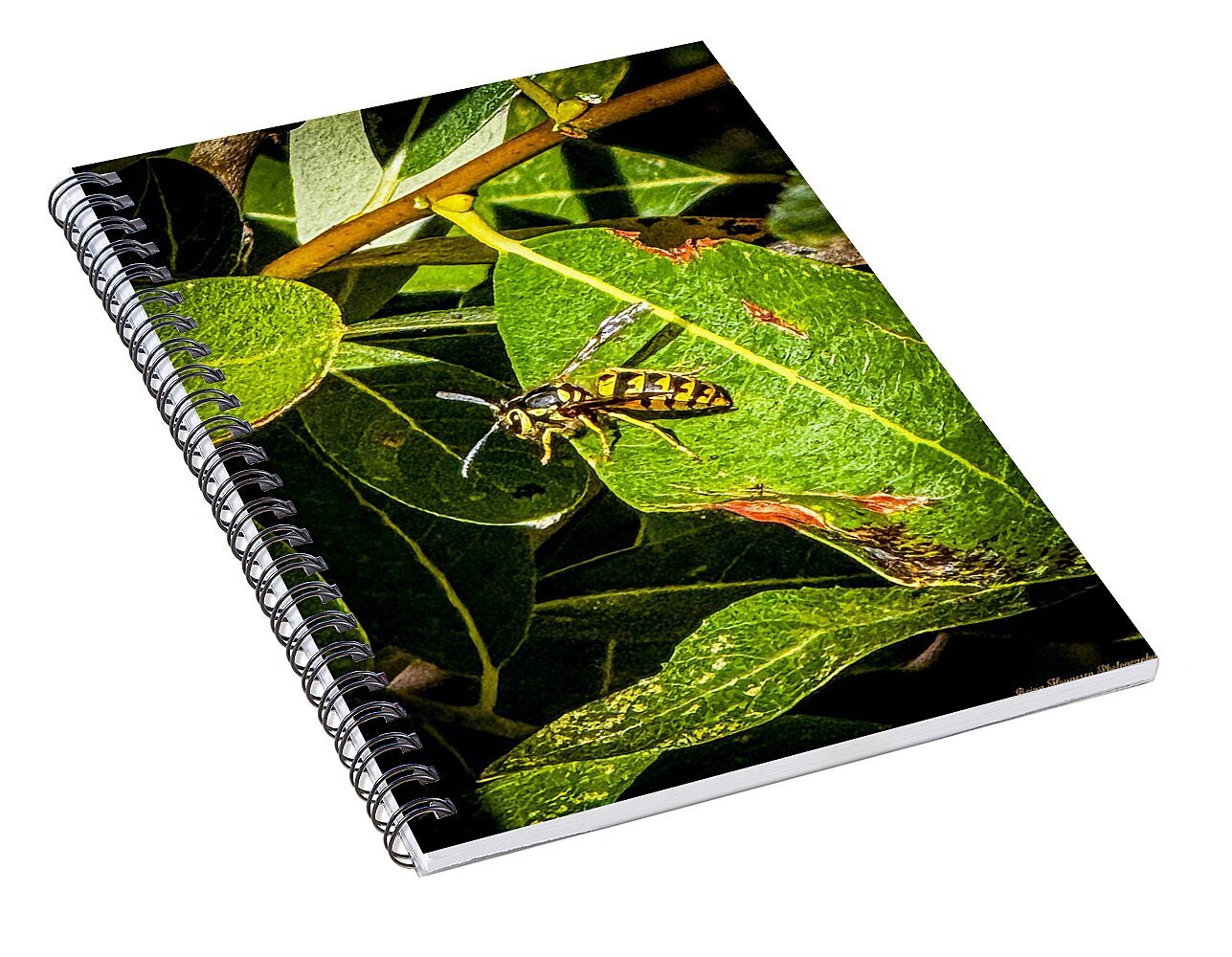 Yellow jacket - Spiral Notebook