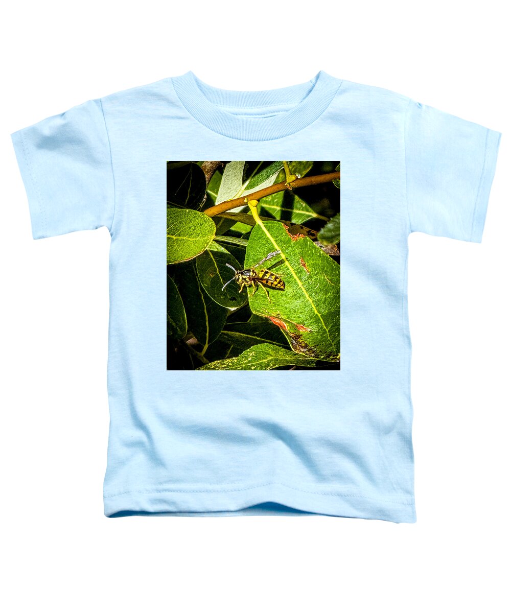 Yellow jacket - Toddler T-Shirt