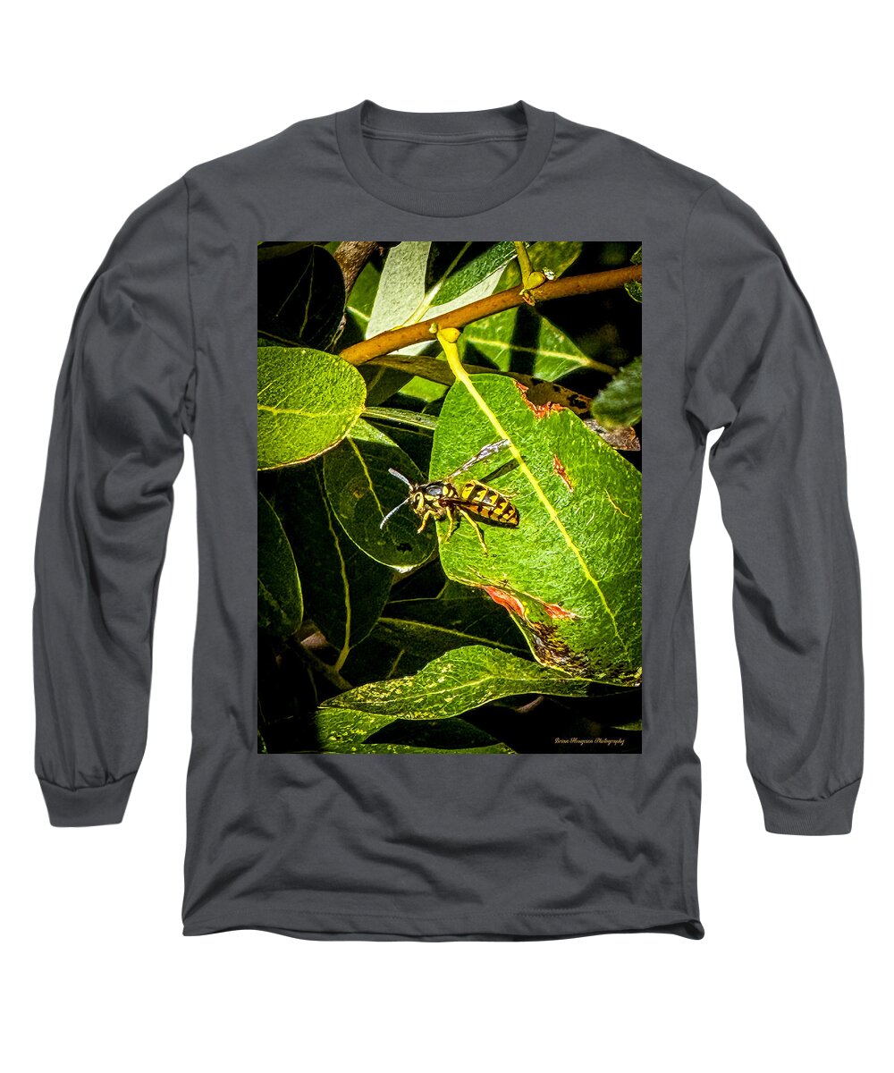 Yellow jacket - Long Sleeve T-Shirt