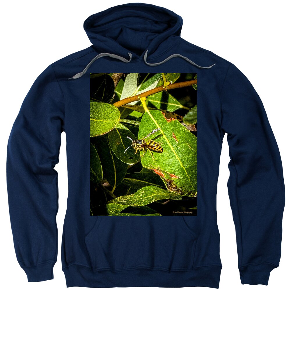 Yellow jacket - Sweatshirt