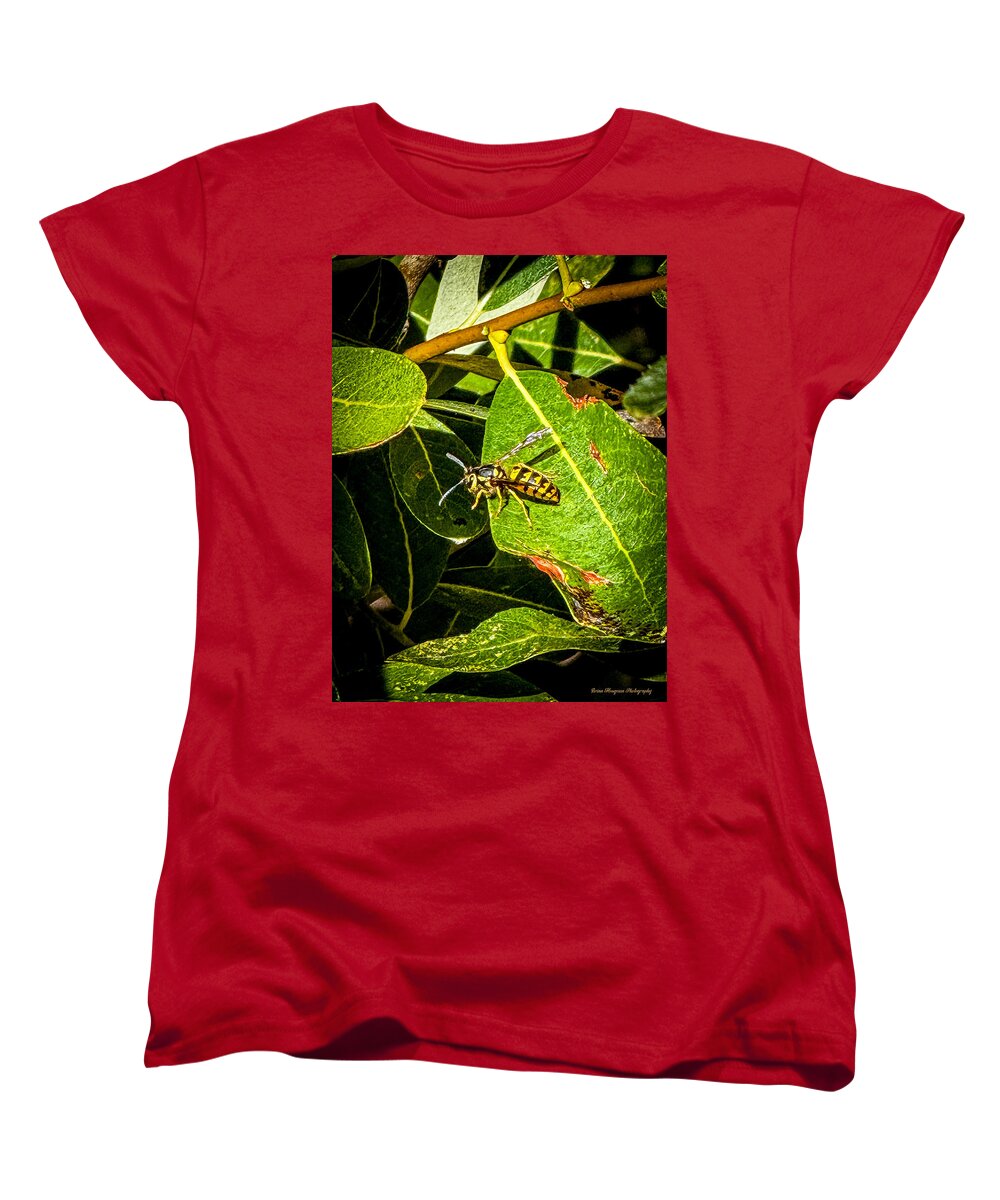 Yellow jacket - Women's T-Shirt (Standard Fit)