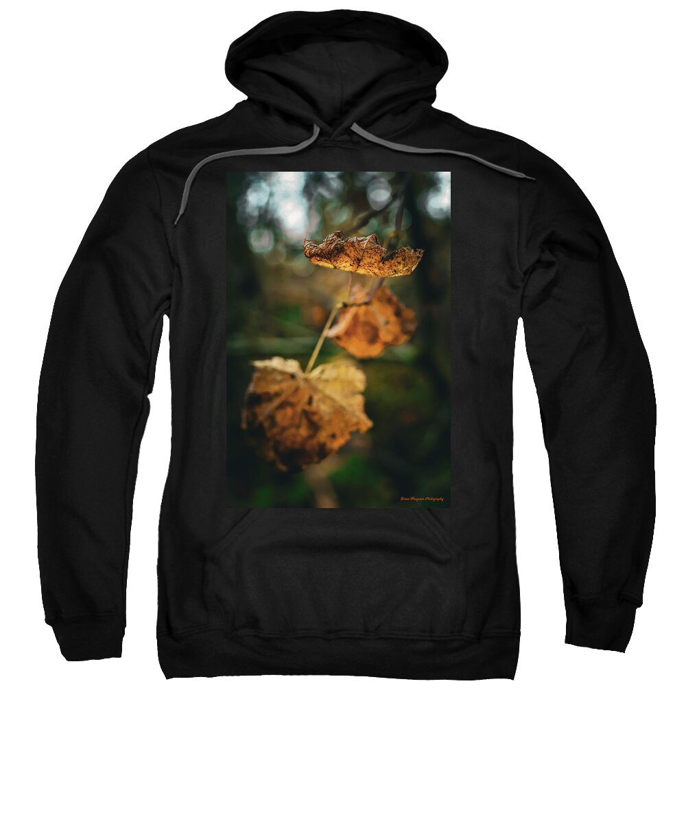 Yellow leaves - Sweatshirt