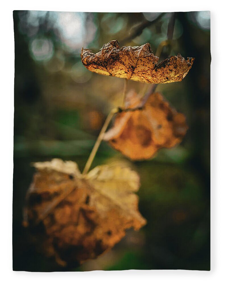 Yellow leaves - Blanket