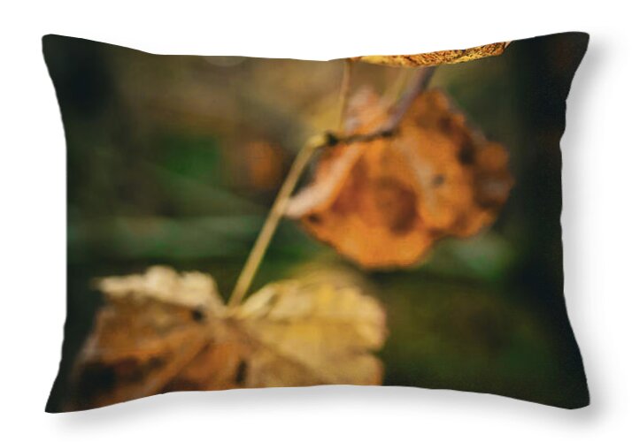 Yellow leaves - Throw Pillow