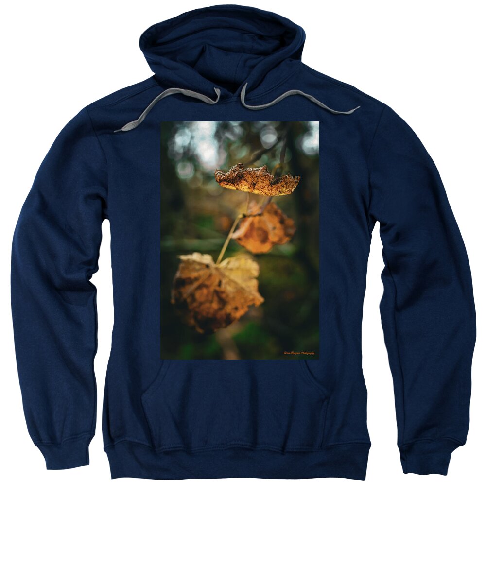 Yellow leaves - Sweatshirt