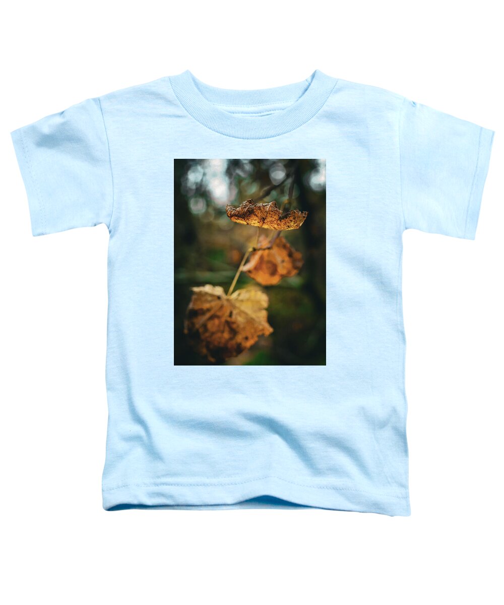 Yellow leaves - Toddler T-Shirt