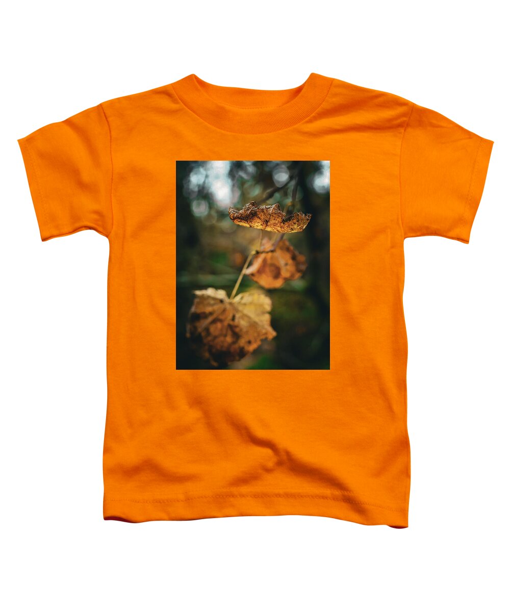 Yellow leaves - Toddler T-Shirt