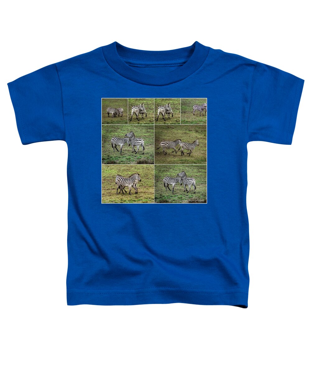 Zebras in play - Toddler T-Shirt