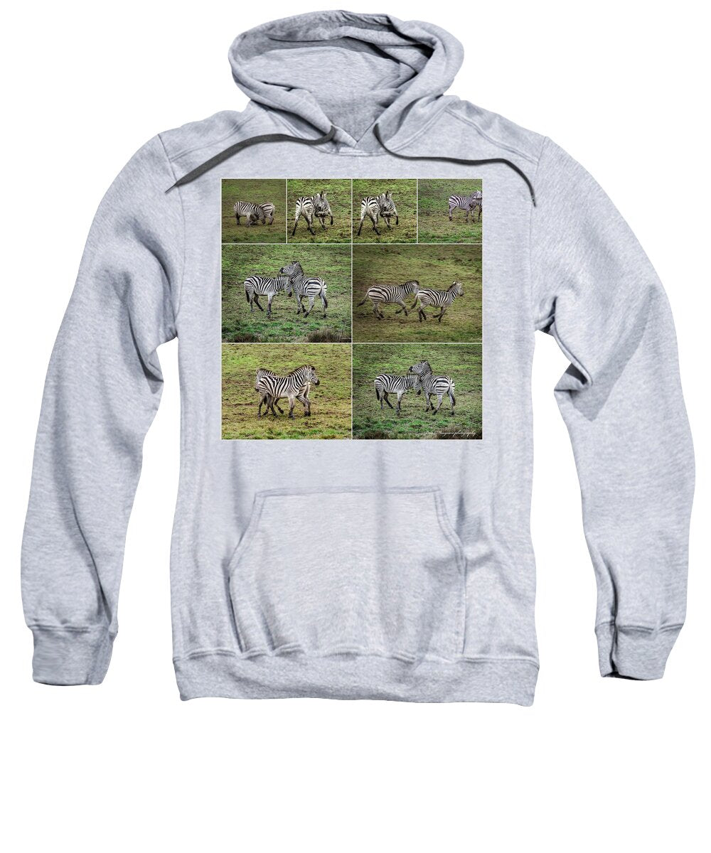 Zebras in play - Sweatshirt