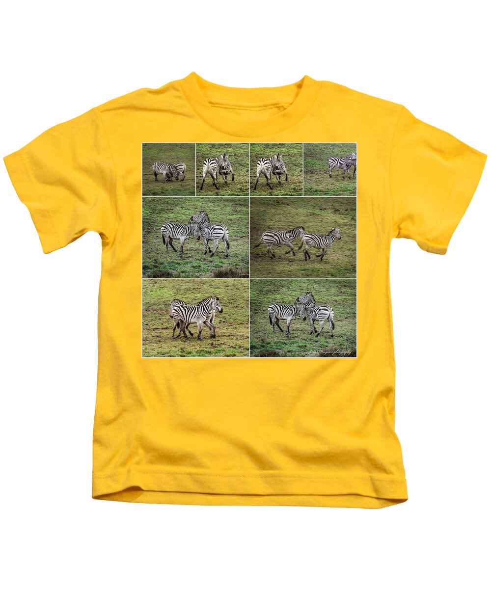 Zebras in play - Kids T-Shirt