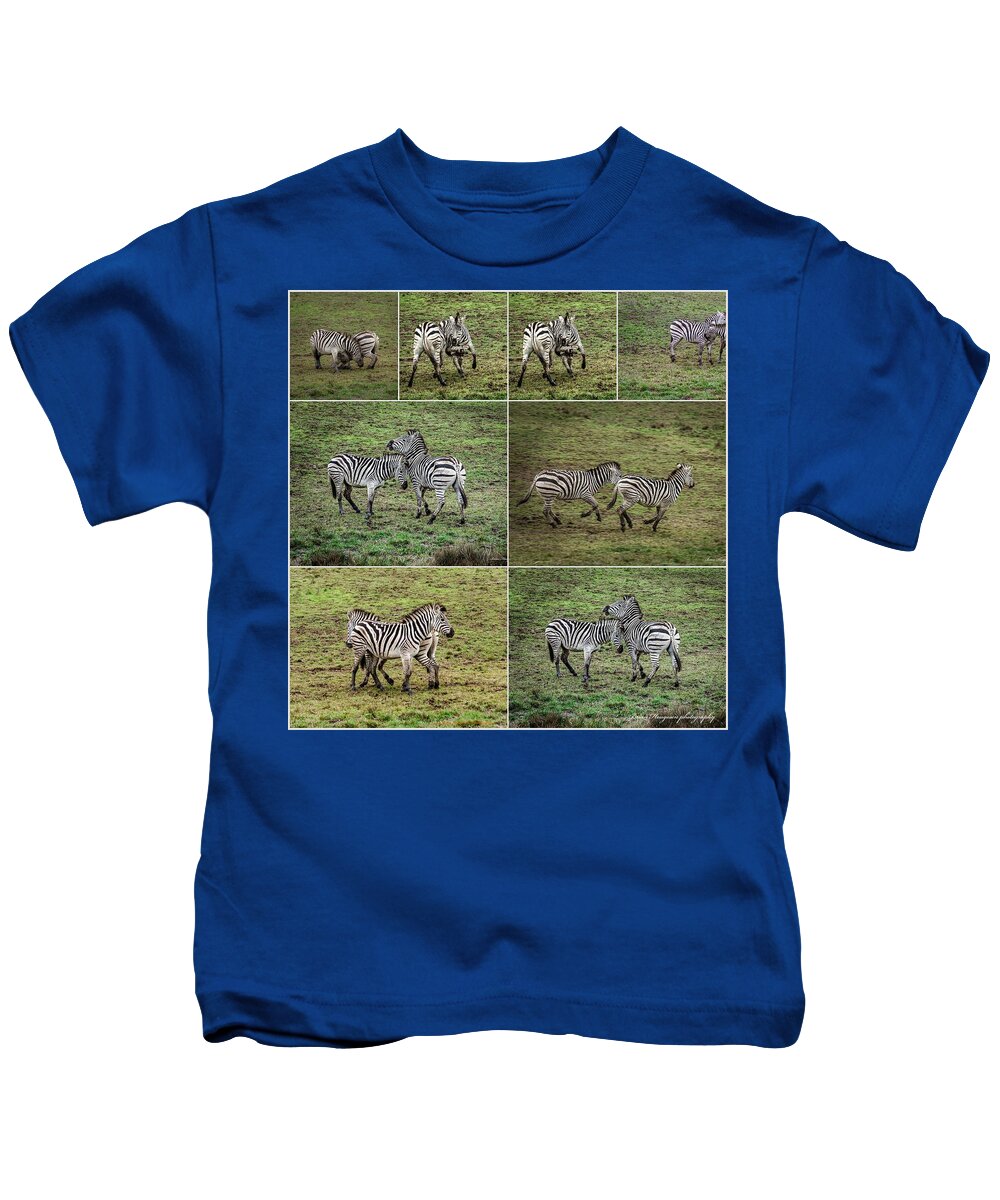 Zebras in play - Kids T-Shirt