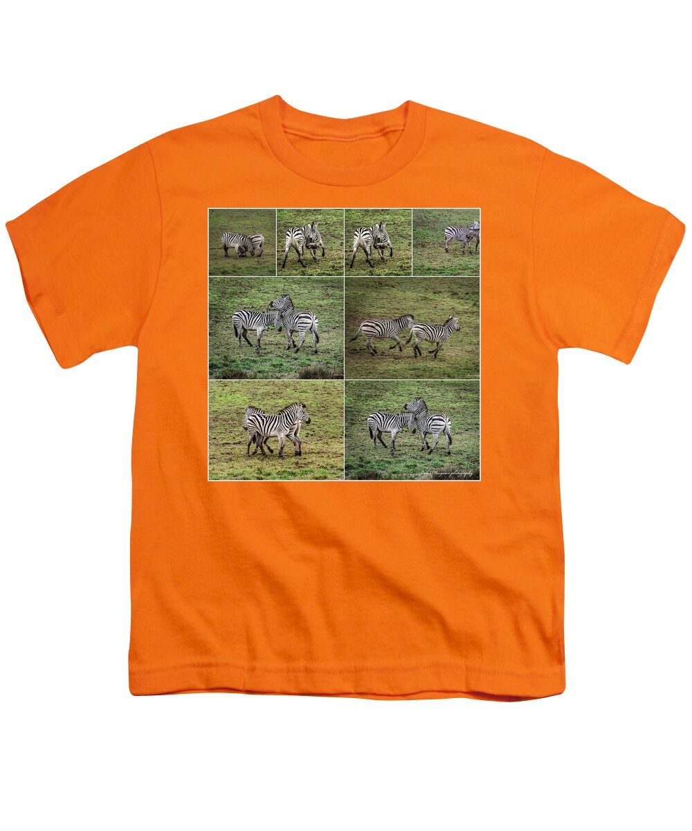 Zebras in play - Youth T-Shirt