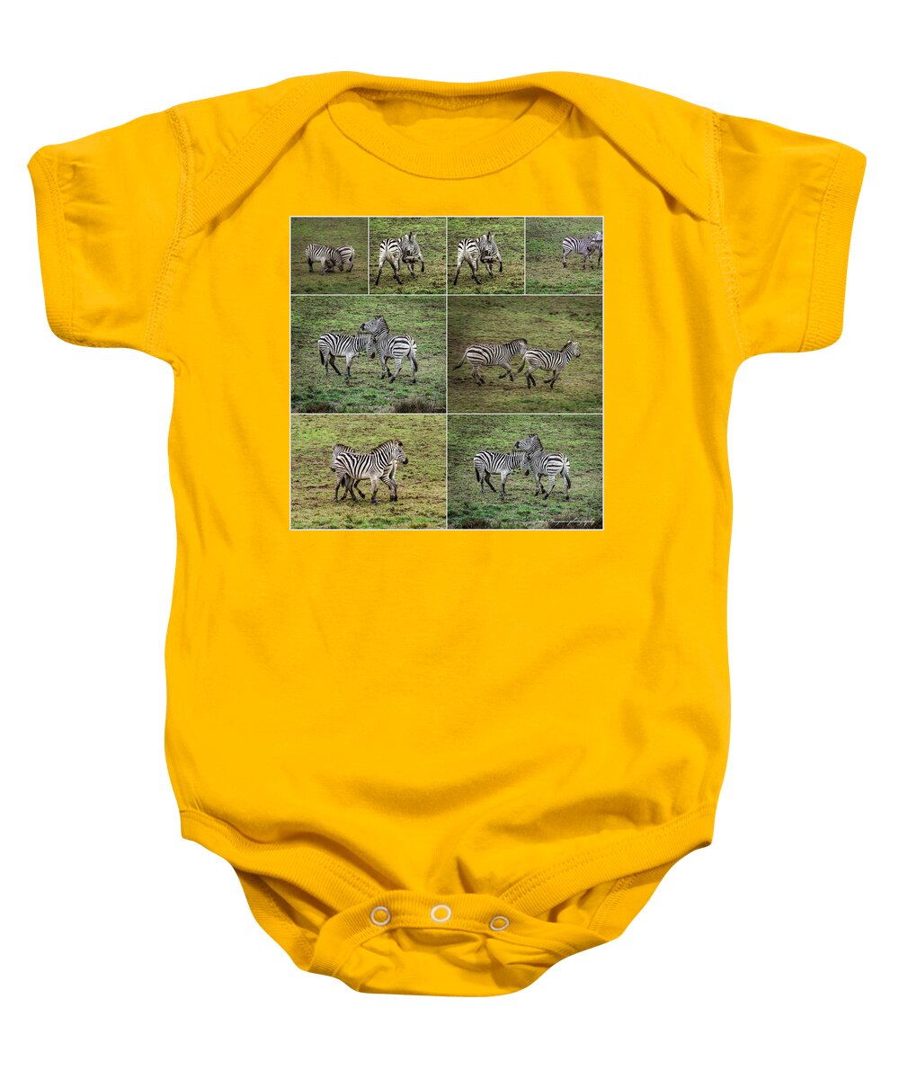 Zebras in play - Baby Onesie