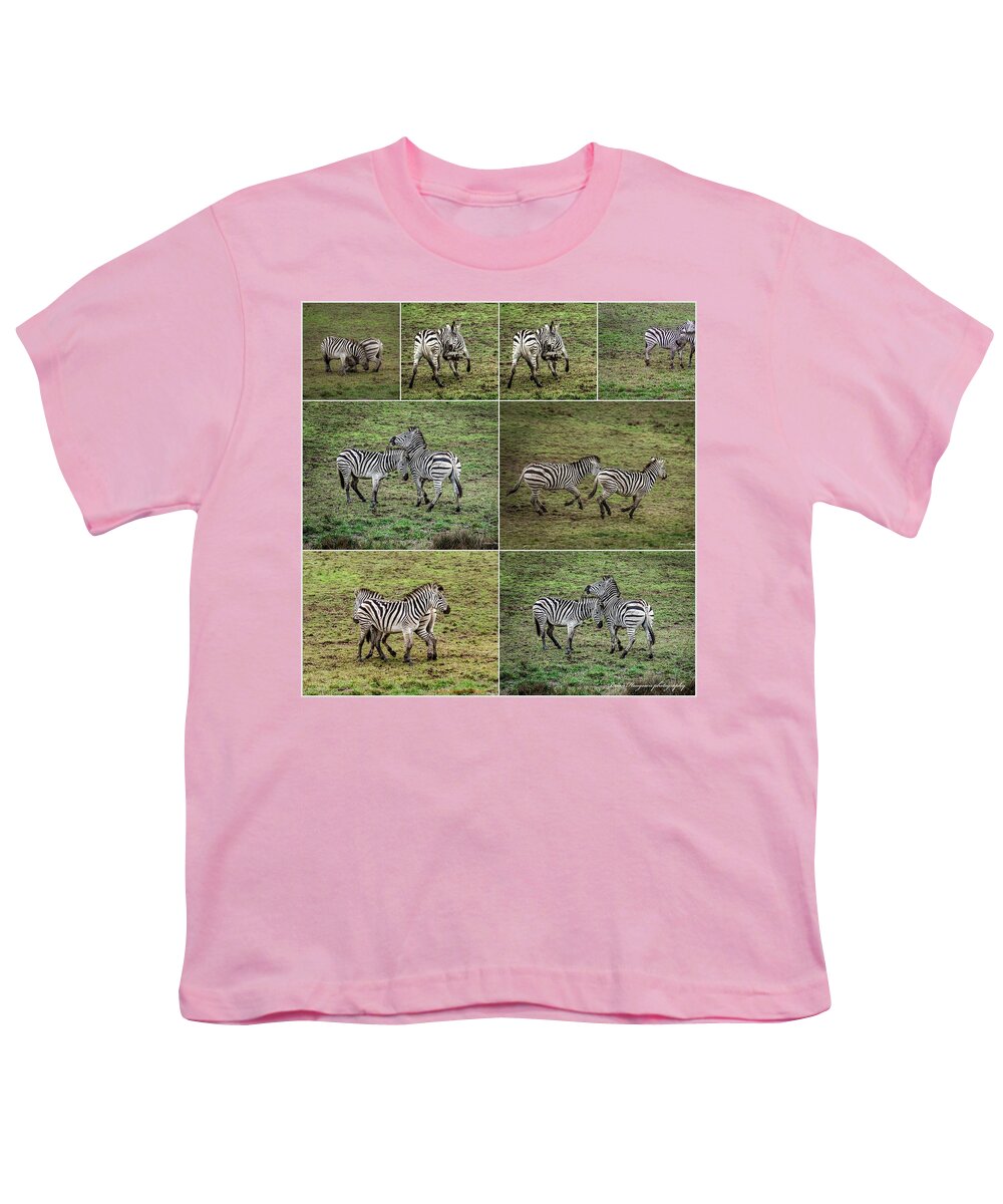 Zebras in play - Youth T-Shirt