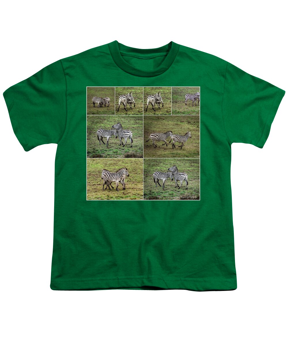Zebras in play - Youth T-Shirt