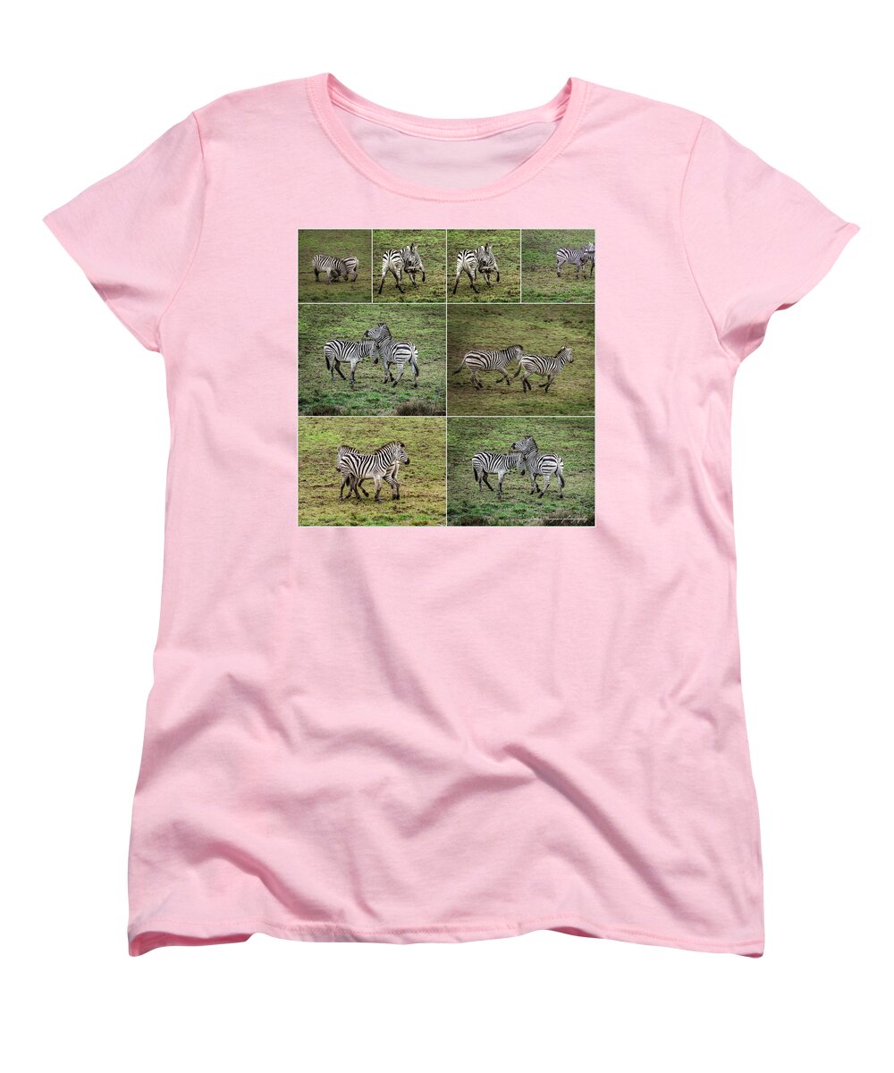 Zebras in play - Women's T-Shirt (Standard Fit)