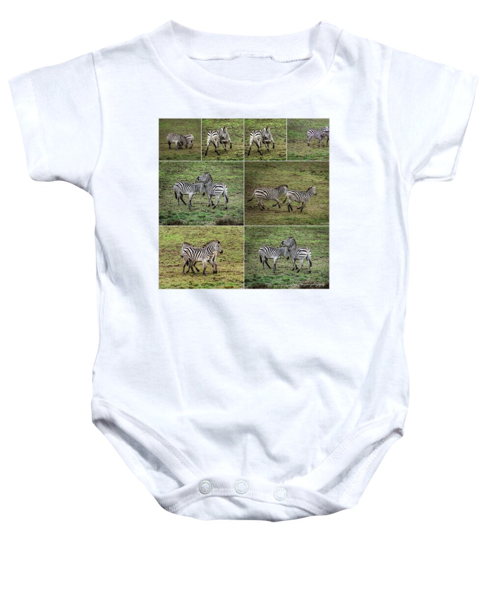 Zebras in play - Baby Onesie
