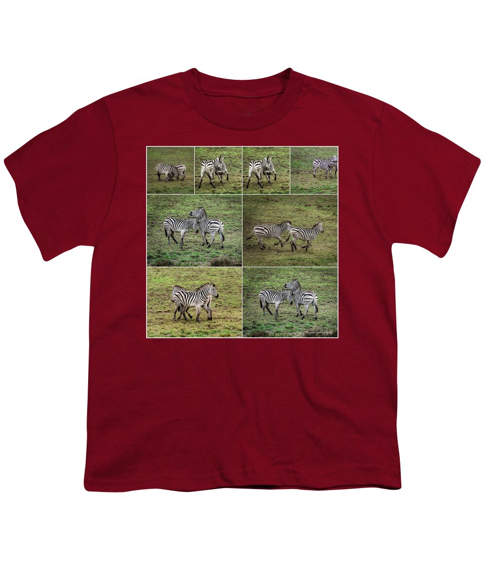 Zebras in play - Youth T-Shirt