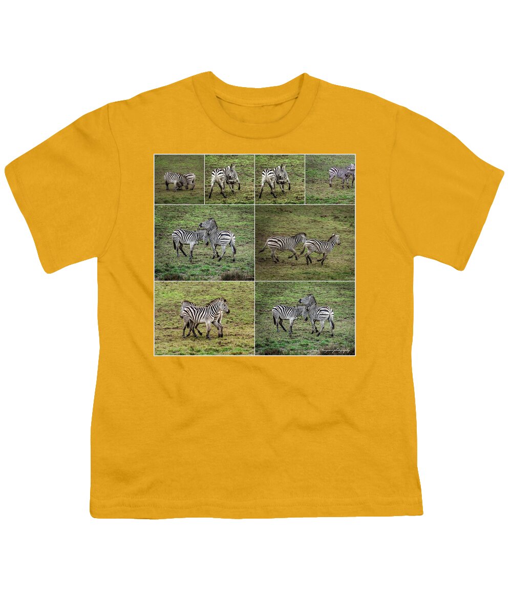 Zebras in play - Youth T-Shirt