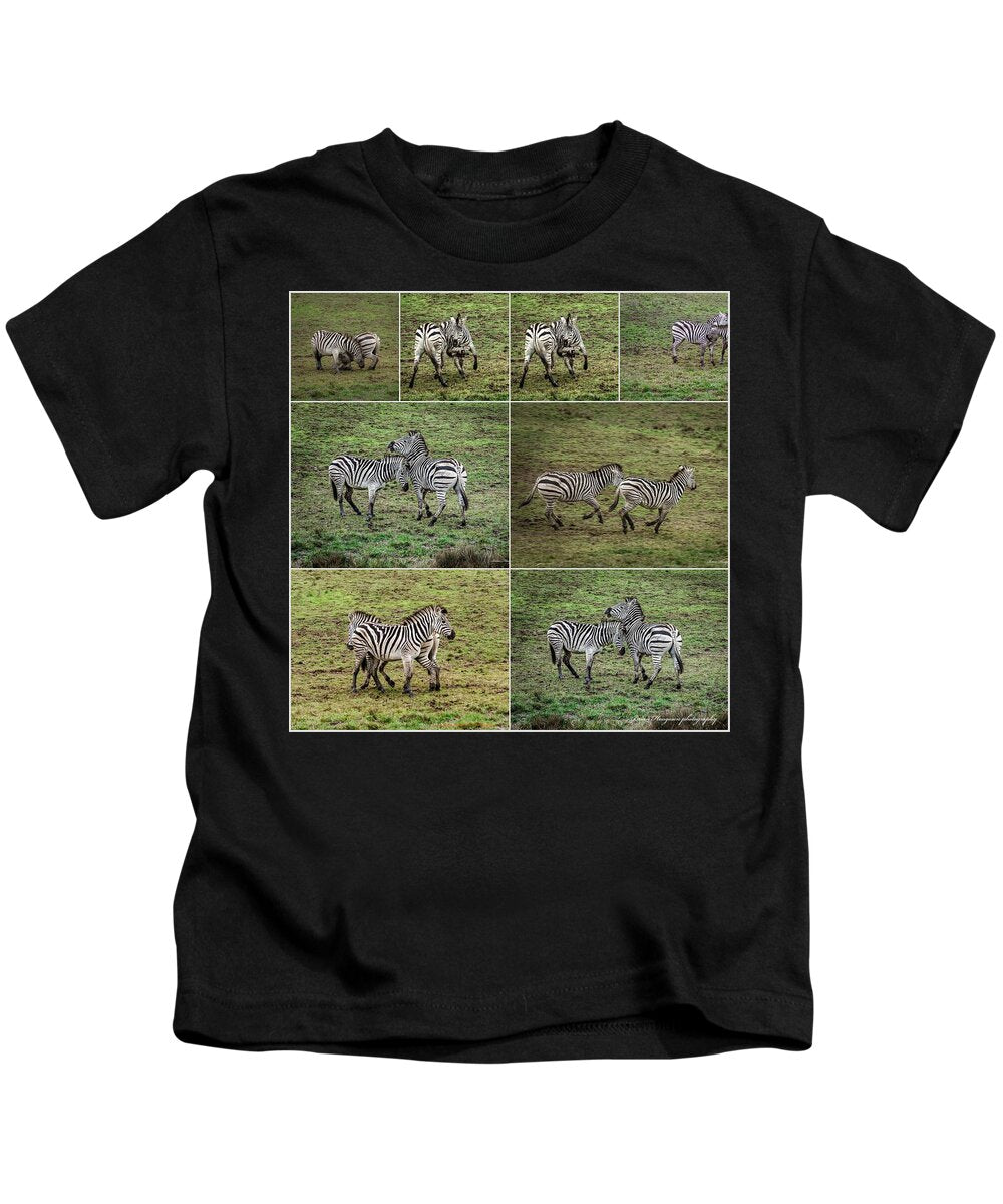 Zebras in play - Kids T-Shirt