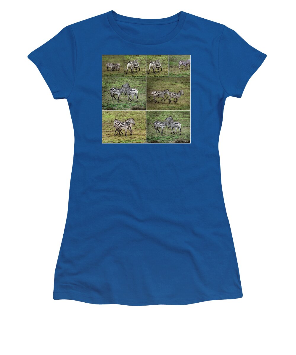 Zebras in play - Women's T-Shirt