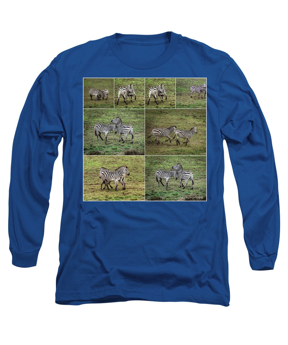 Zebras in play - Long Sleeve T-Shirt