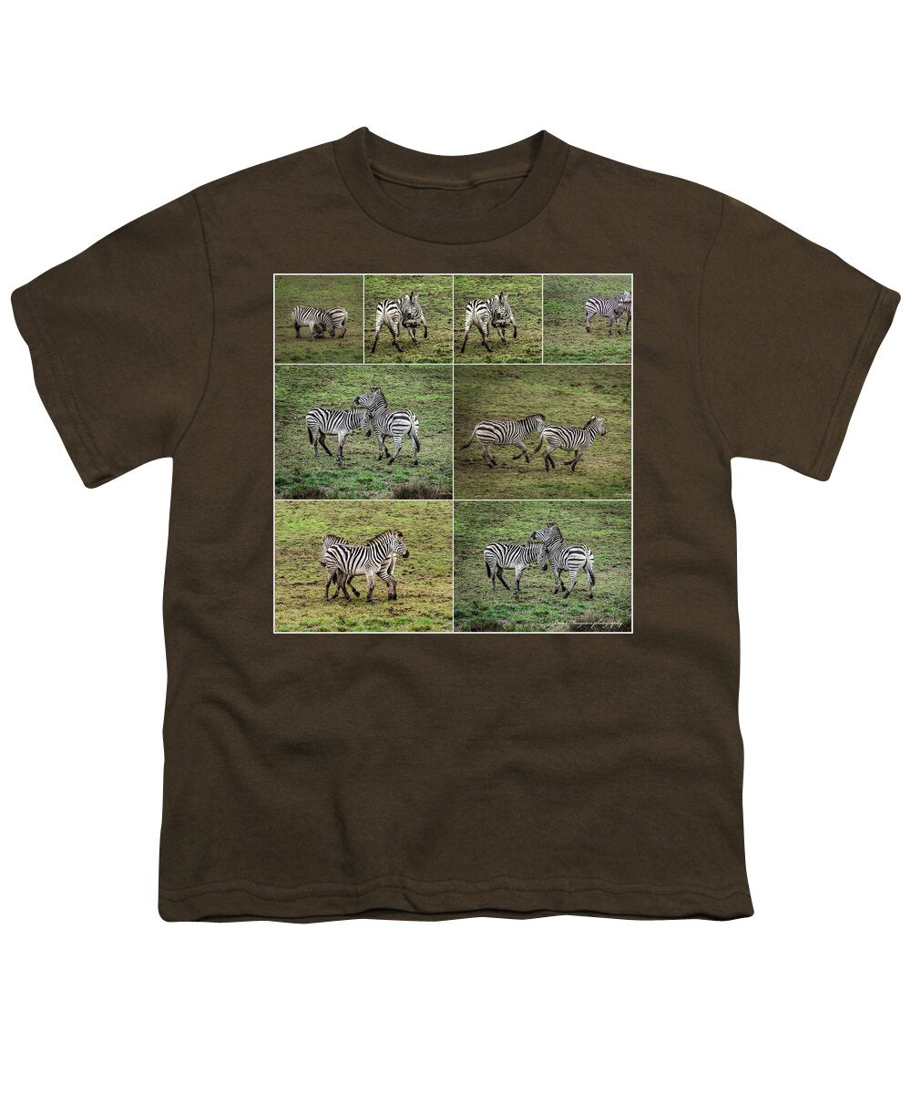 Zebras in play - Youth T-Shirt