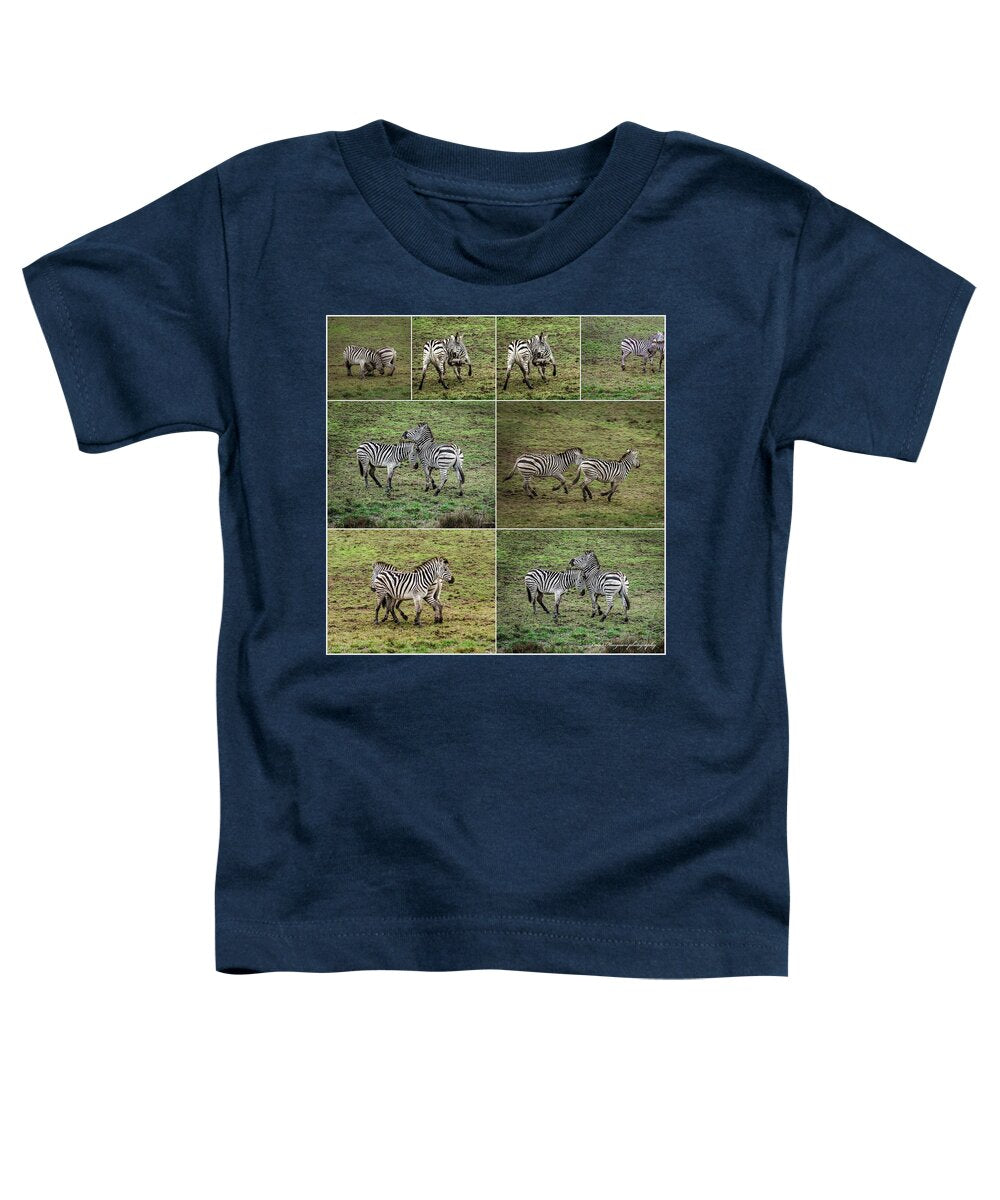 Zebras in play - Toddler T-Shirt