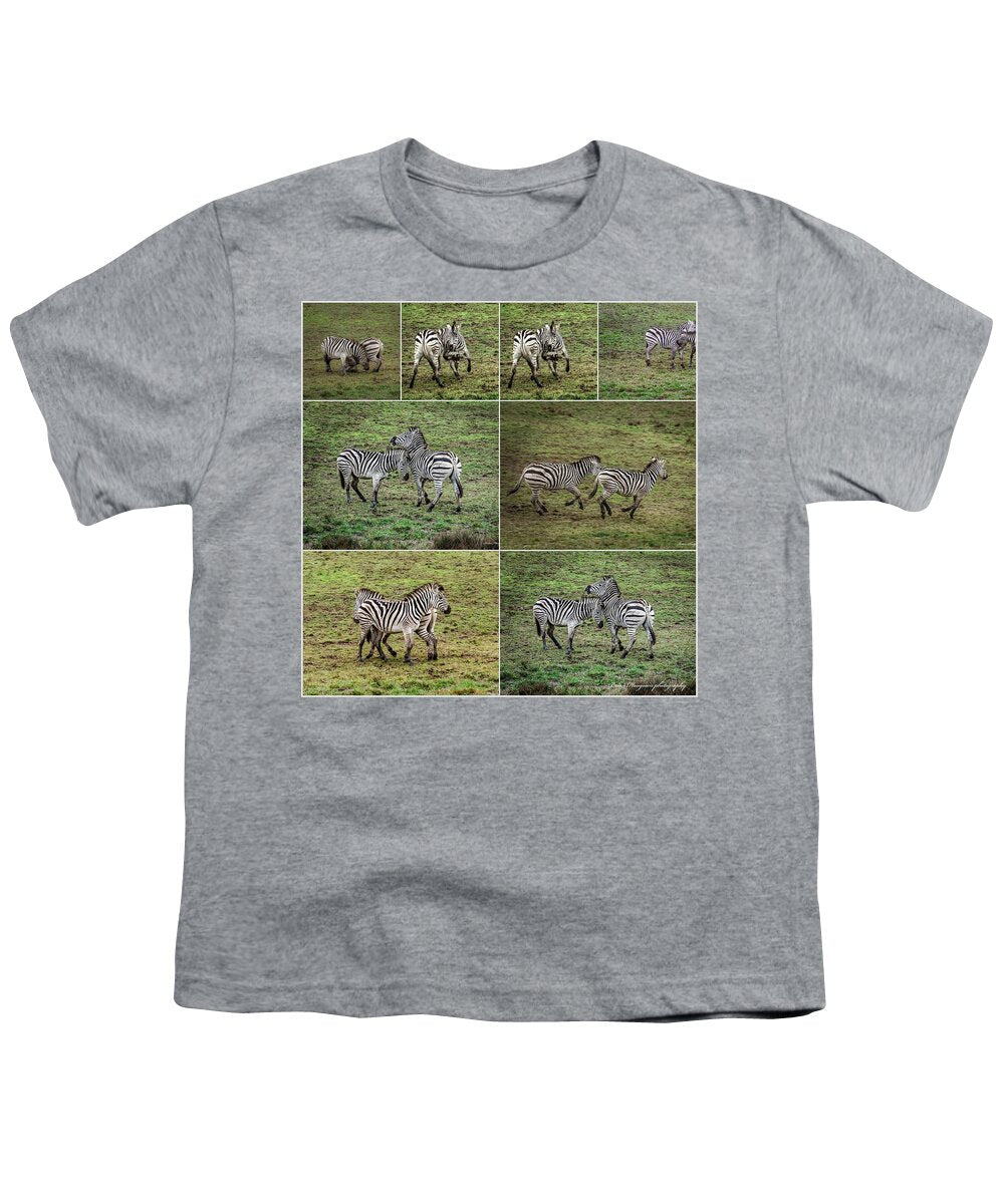 Zebras in play - Youth T-Shirt