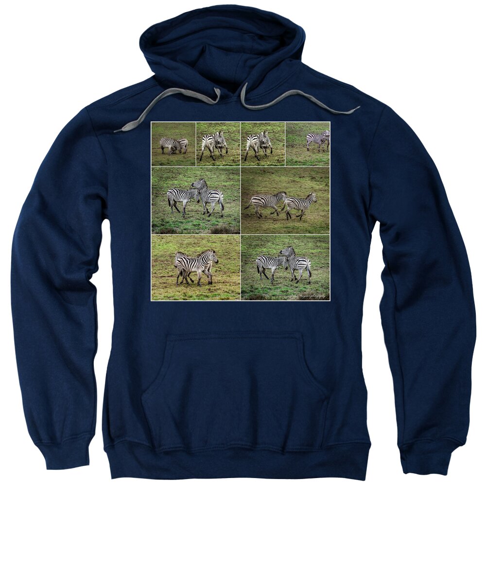 Zebras in play - Sweatshirt