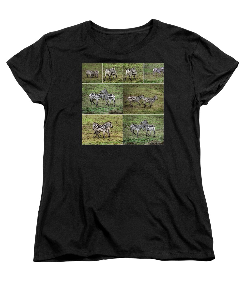 Zebras in play - Women's T-Shirt (Standard Fit)