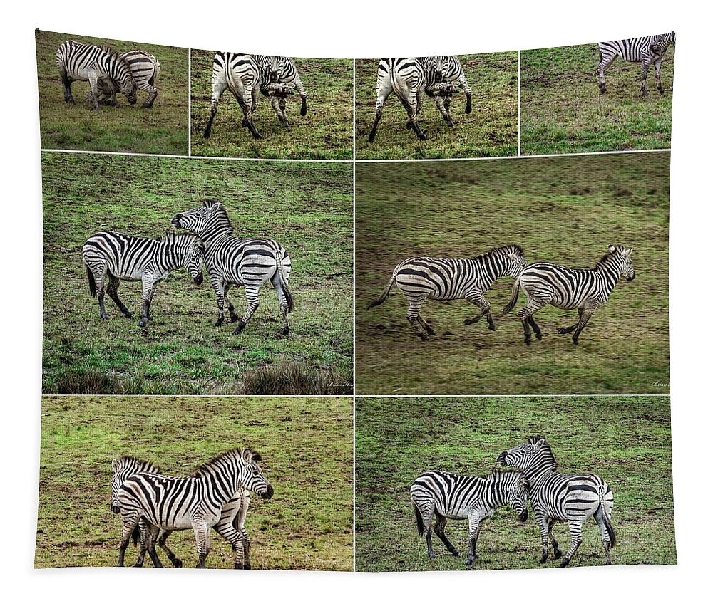 Zebras in play - Tapestry