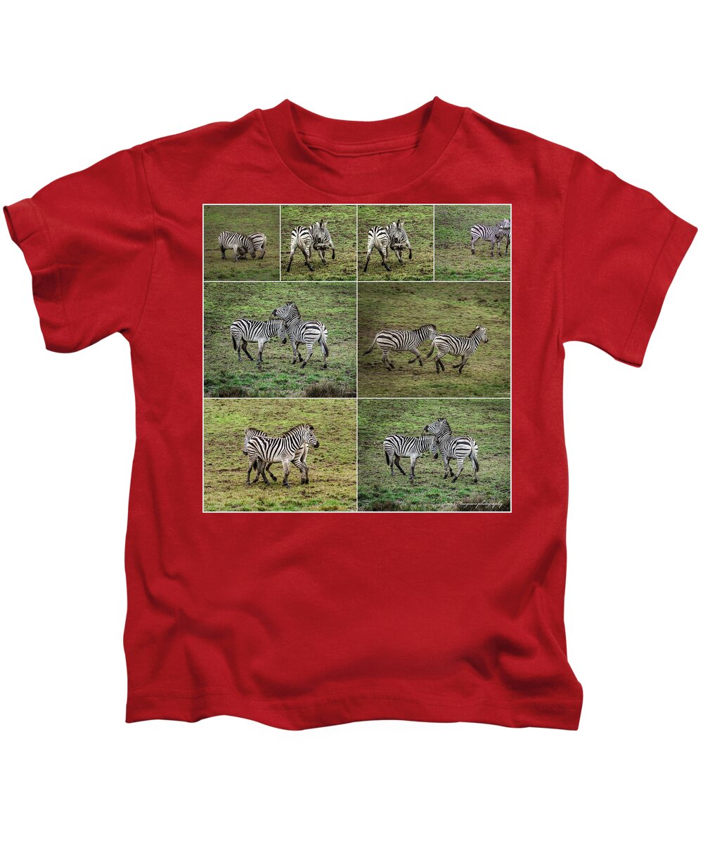 Zebras in play - Kids T-Shirt