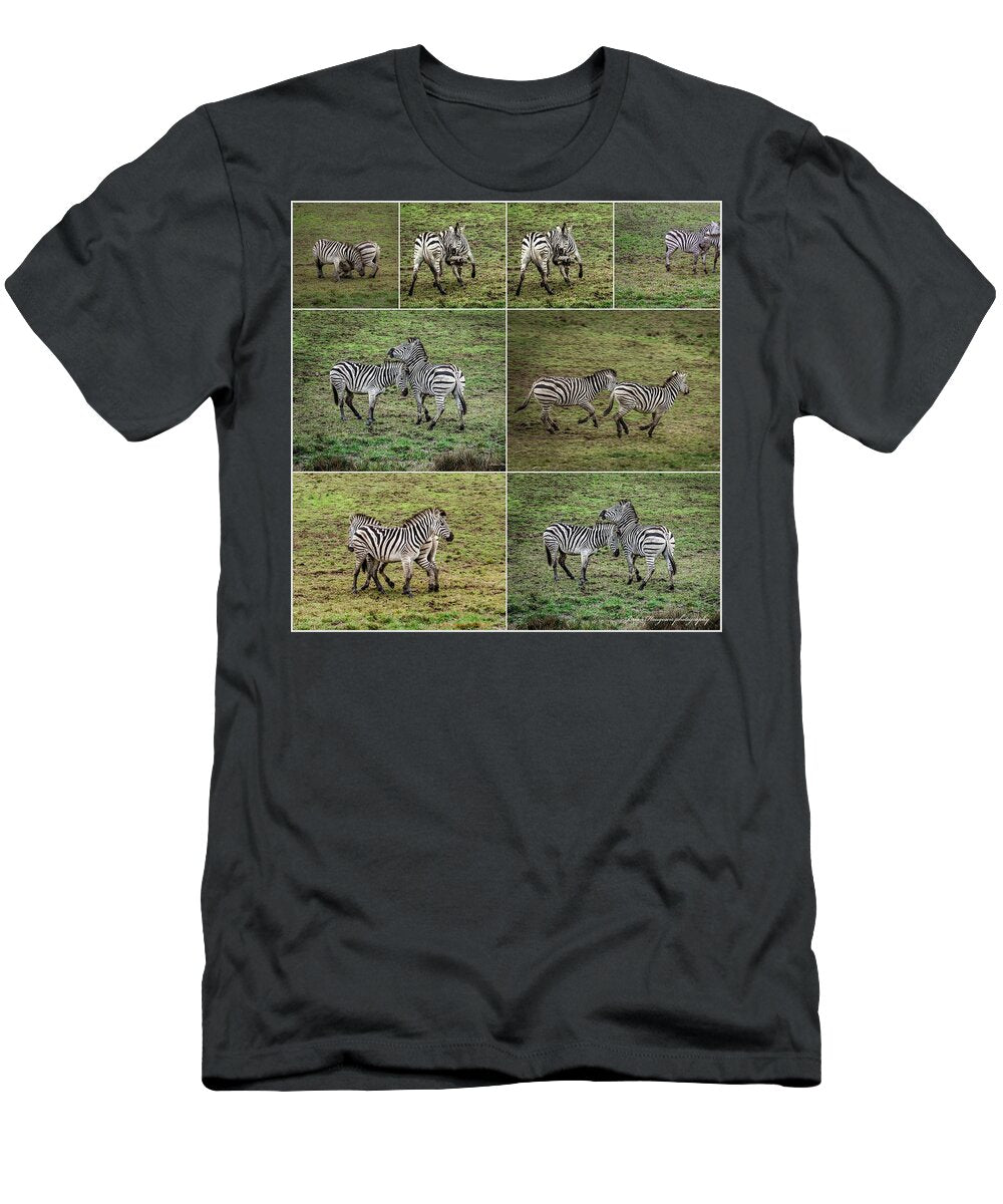Zebras in play - T-Shirt